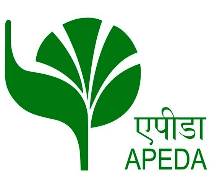 dessert bowls_20260410_140053_0005